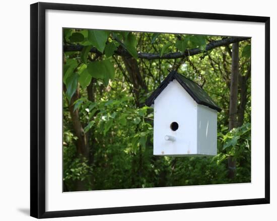 White Birdhouse-Anna Miller-Framed Photographic Print