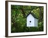 White Birdhouse-Anna Miller-Framed Photographic Print