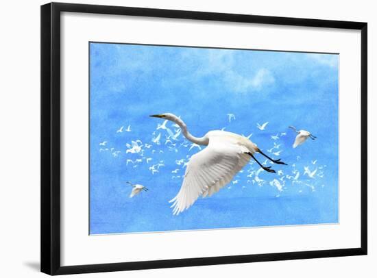 White Birds And Blue Sky-Ata Alishahi-Framed Giclee Print