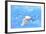 White Birds And Blue Sky-Ata Alishahi-Framed Giclee Print