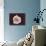 White Blood Cell, SEM-Steve Gschmeissner-Mounted Photographic Print displayed on a wall