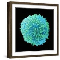 White Blood Cell-Steve Gschmeissner-Framed Premium Photographic Print