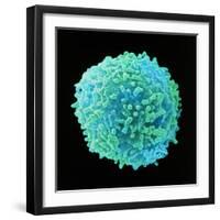 White Blood Cell-Steve Gschmeissner-Framed Premium Photographic Print