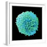 White Blood Cell-Steve Gschmeissner-Framed Premium Photographic Print