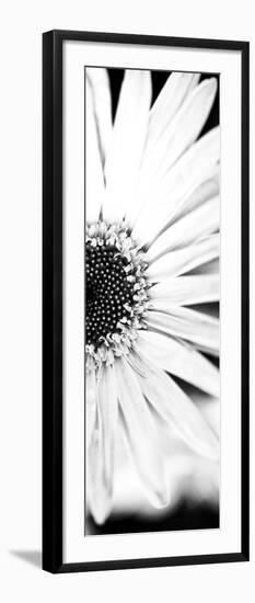 White Bloom I-Susan Bryant-Framed Photographic Print