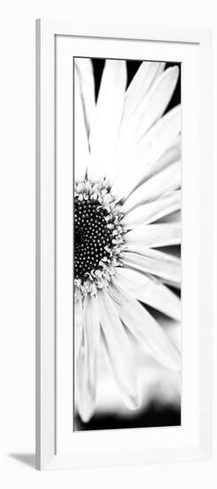 White Bloom I-Susan Bryant-Framed Photographic Print