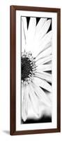 White Bloom I-Susan Bryant-Framed Photographic Print