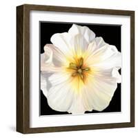 White Bloom I-Sandra Iafrate-Framed Art Print