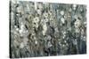 White Blooms with Navy I-Tim O'toole-Stretched Canvas