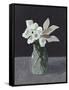 White Blooms-Pamela Munger-Framed Stretched Canvas