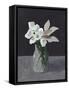 White Blooms-Pamela Munger-Framed Stretched Canvas