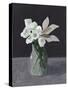 White Blooms-Pamela Munger-Stretched Canvas