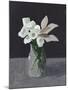 White Blooms-Pamela Munger-Mounted Art Print