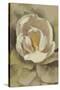 White Blossom Crop-Cheri Blum-Stretched Canvas