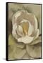 White Blossom Crop-Cheri Blum-Framed Stretched Canvas