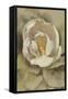 White Blossom Crop-Cheri Blum-Framed Stretched Canvas