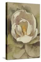 White Blossom Crop-Cheri Blum-Stretched Canvas