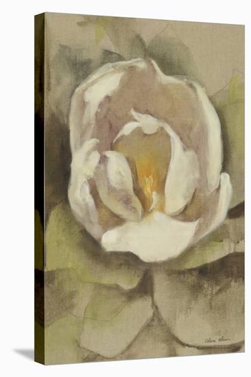 White Blossom Crop-Cheri Blum-Stretched Canvas
