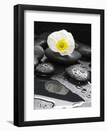 White Blossom on Black Stones-Uwe Merkel-Framed Photographic Print