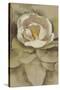 White Blossom-Cheri Blum-Stretched Canvas