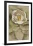 White Blossom-Cheri Blum-Framed Art Print