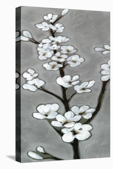 White Blossoms I-Jennifer Goldberger-Stretched Canvas