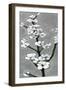 White Blossoms I-Jennifer Goldberger-Framed Art Print