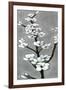 White Blossoms I-Jennifer Goldberger-Framed Art Print