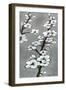 White Blossoms II-Jennifer Goldberger-Framed Art Print