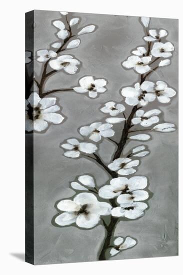 White Blossoms II-Jennifer Goldberger-Stretched Canvas