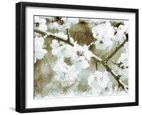 White Blossoms in Sepia-null-Framed Art Print