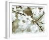 White Blossoms in Sepia-null-Framed Art Print