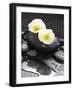 White Blossoms on Black Stones-Uwe Merkel-Framed Photographic Print