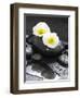 White Blossoms on Black Stones-Uwe Merkel-Framed Photographic Print