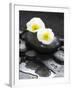 White Blossoms on Black Stones-Uwe Merkel-Framed Photographic Print