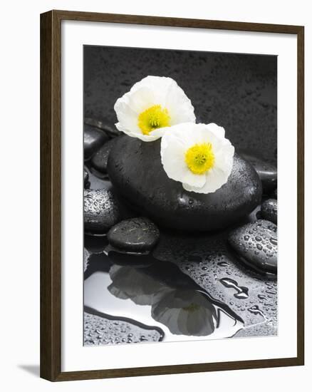 White Blossoms on Black Stones-Uwe Merkel-Framed Photographic Print