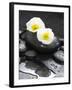 White Blossoms on Black Stones-Uwe Merkel-Framed Photographic Print