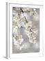 White Blossoms on Silver I-Kate Bennett-Framed Art Print