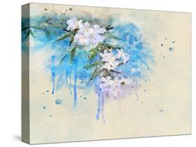 White Blossoms-Chris Vest-Stretched Canvas