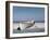 White Boat on Beach-Zhen-Huan Lu-Framed Photographic Print