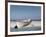 White Boat on Beach-Zhen-Huan Lu-Framed Photographic Print