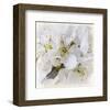 White Bollosoms-null-Framed Art Print