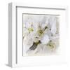 White Bollosoms-null-Framed Art Print