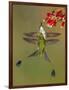 White-booted racket-tail hummingbirds, Ecuador-Art Wolfe Wolfe-Framed Photographic Print