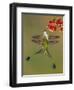 White-booted racket-tail hummingbirds, Ecuador-Art Wolfe Wolfe-Framed Photographic Print