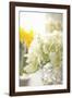 White Bouquet-Karyn Millet-Framed Photographic Print