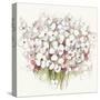 White Bouquet-Allison Pearce-Stretched Canvas