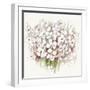 White Bouquet-Allison Pearce-Framed Art Print