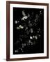 White Branches - White Plum Blossoms-Doris Mitsch-Framed Photographic Print