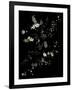 White Branches - White Plum Blossoms-Doris Mitsch-Framed Photographic Print